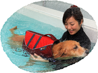 Hydrotherapy