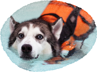 Hydrotherapy