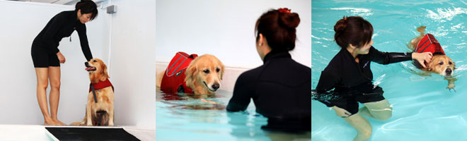 Hydrotherapy