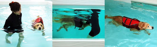 Hydrotherapy