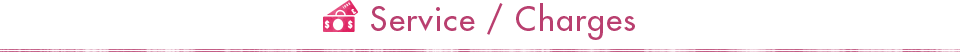 Service/Charges