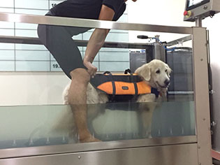 Hydrotherapy