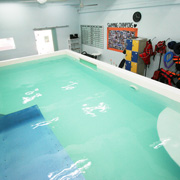 Canine Wellness Facility