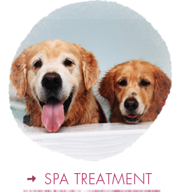 Spa Treatment