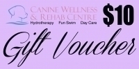 $10 Gift Voucher