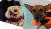 Maggie & Miko