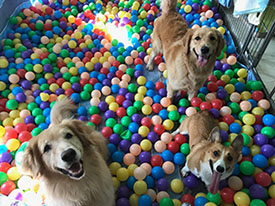 Daycare