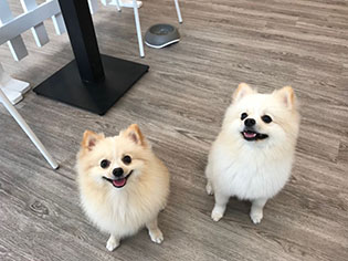 Daycare